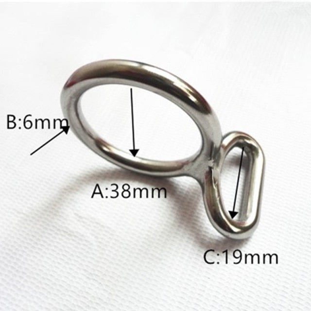 5 Pieces Stainless Steel Ring With Ring Eye Ring Buckle Horse Halter Briddle - KiwisLove