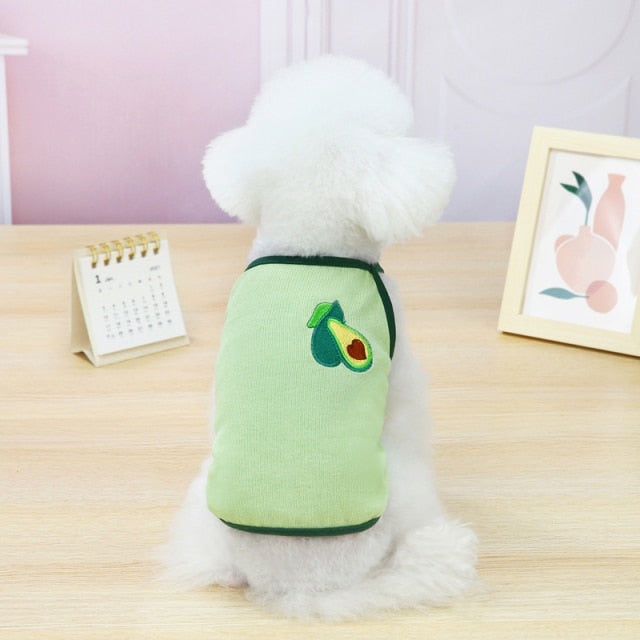 Fleece Dog Clothes Fruit Clothing for Cats  Pajamas Chihuahua Apparel Sweater - KiwisLove