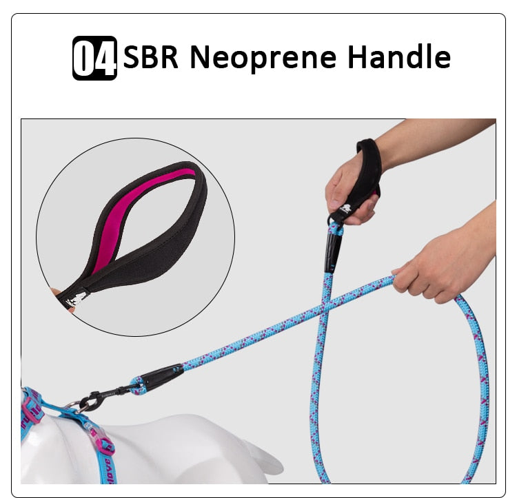 Truelove Pet Leash Hands Free Luxury Tactical Adjustable Heavy Duty Neoprenene Padded Handle Training Walking Dog Rope TLL2572 - KiwisLove