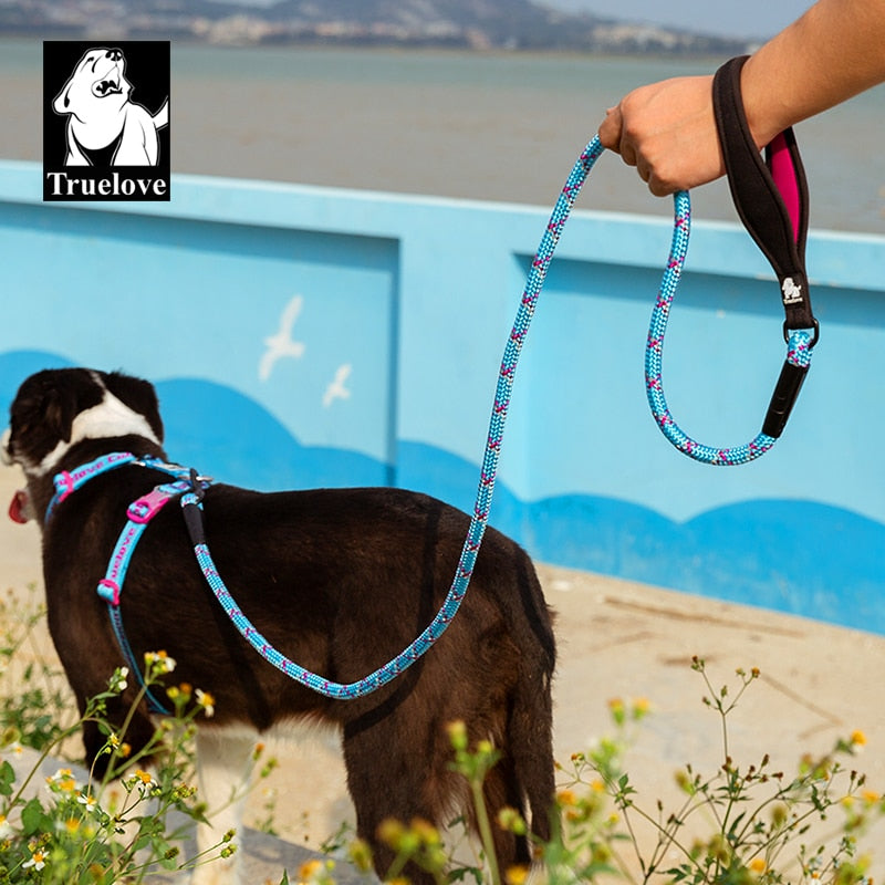 Truelove Pet Leash Hands Free Luxury Tactical Adjustable Heavy Duty Neoprenene Padded Handle Training Walking Dog Rope TLL2572 - KiwisLove