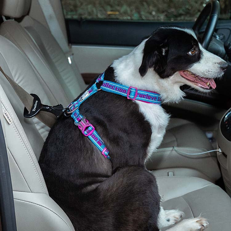 Truelove Vehicle Car Dog Seat Belt Lock Harness Collar Clip Safety - KiwisLove