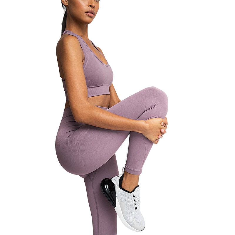 Yoga Leggings Nylon Gym Wear Clothes Costume Seamless Fitness Pants  Exercise - KiwisLove