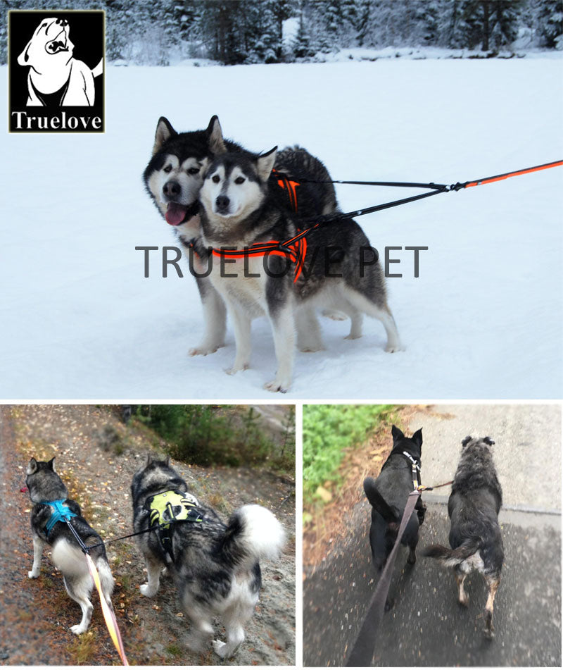 Truelove Nylon Double Dog Leash For Two Dogs Coupler No Tangle Pet Leash TLH2372 - KiwisLove