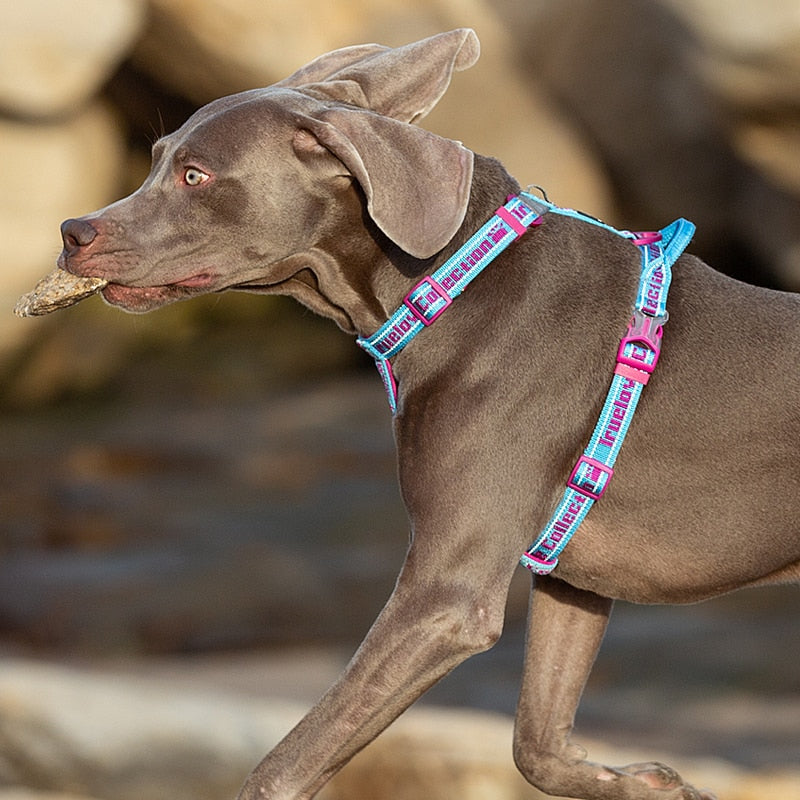 Truelove Dog Harness No Pull Tactical Service Pet Lift Breathable Mesh ReflectiveTLH6172 - KiwisLove