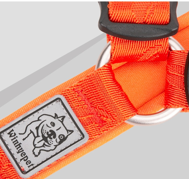 TRUELOVE Best Trail Runner No-Pull Dog Harness with Premium Materials YH1801 - KiwisLove