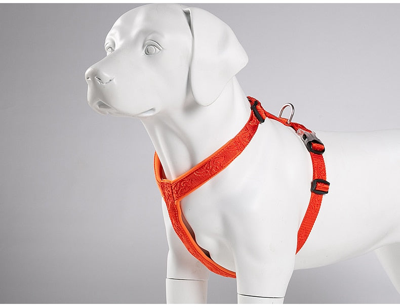 TRUELOVE Best Trail Runner No-Pull Dog Harness with Premium Materials YH1801 - KiwisLove