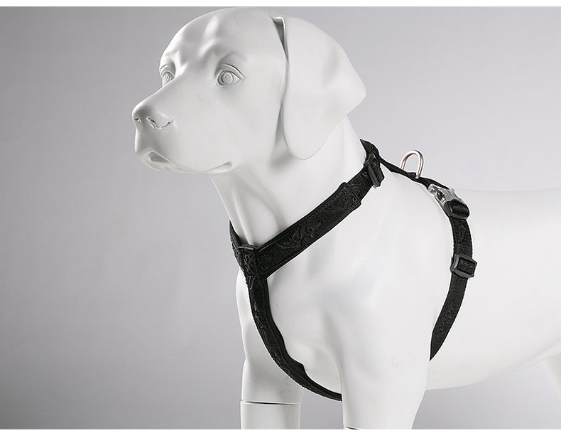 TRUELOVE Best Trail Runner No-Pull Dog Harness with Premium Materials YH1801 - KiwisLove