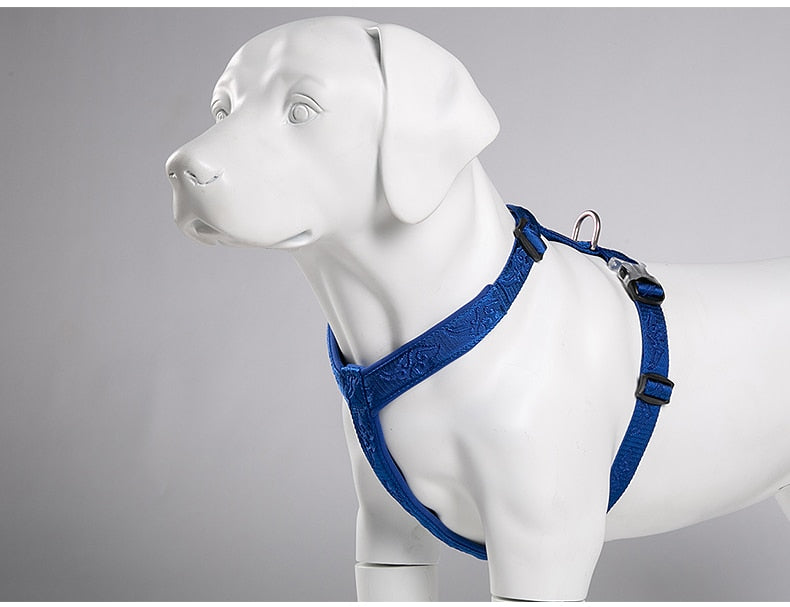 TRUELOVE Best Trail Runner No-Pull Dog Harness with Premium Materials YH1801 - KiwisLove