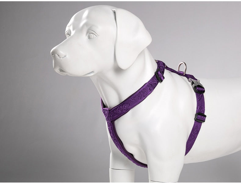 TRUELOVE Best Trail Runner No-Pull Dog Harness with Premium Materials YH1801 - KiwisLove