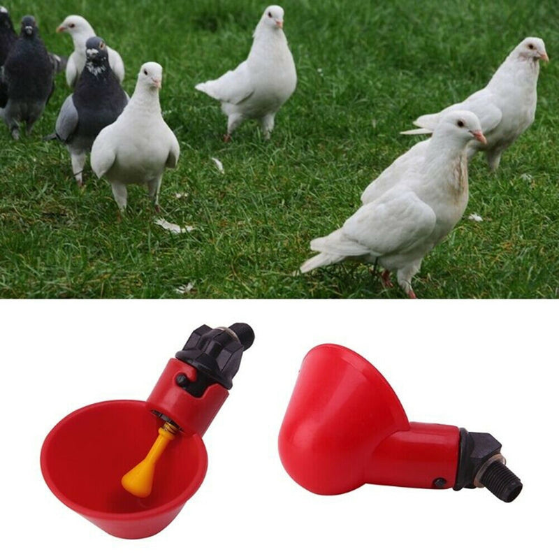 5/10pcs Plastic Automatic Drinker Water Drinking Cups Bird Chicken feeder Poultry - KiwisLove