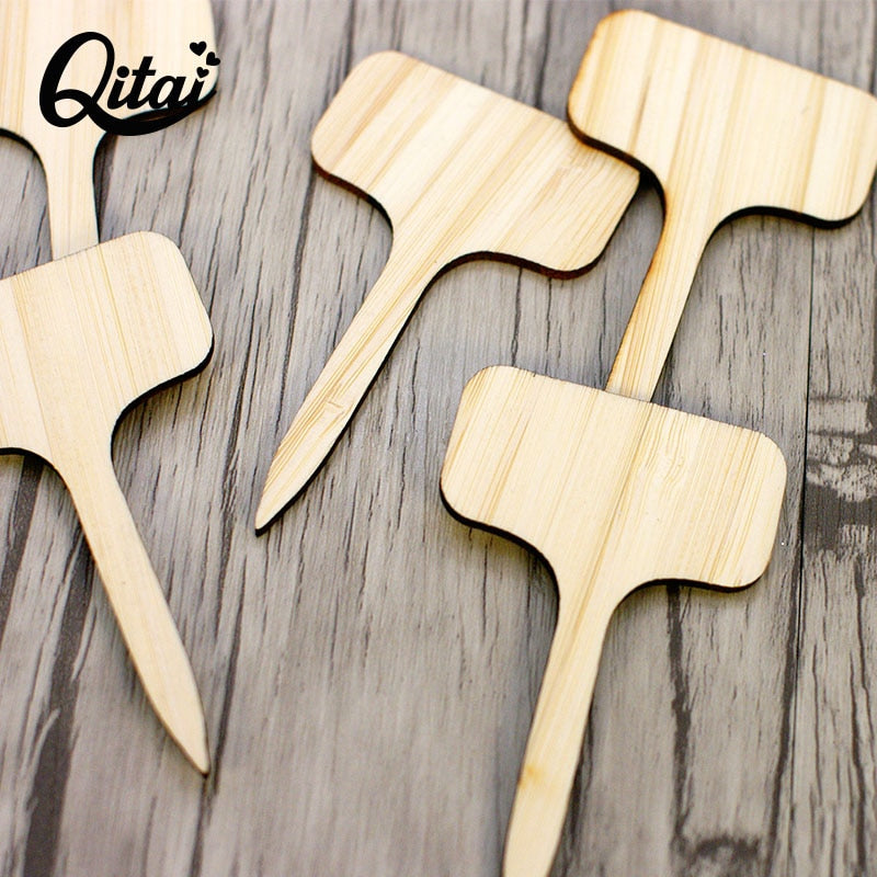 Bamboo Plant Labels Eco-Friendly - KiwisLove