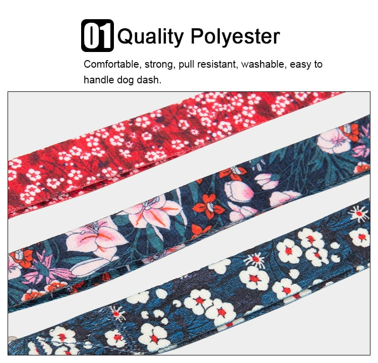 Truelove Pet  Dog Cat Leash Neoprene Padded Handle Extra Traffic Control Strong TLL3112 - KiwisLove