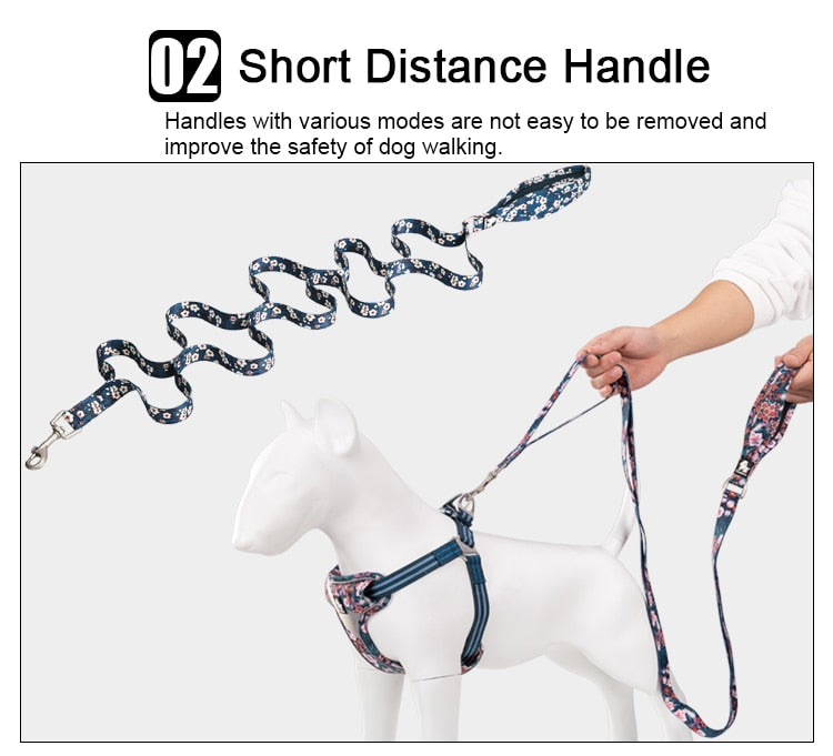 Truelove Pet  Dog Cat Leash Neoprene Padded Handle Extra Traffic Control Strong TLL3112 - KiwisLove