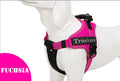 Truelove Dog Harness No-Pull Reflective Stitching Ensure Two Ways Using Explosion-proof TLH5753 - KiwisLove