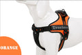 Truelove Dog Harness No-Pull Reflective Stitching Ensure Two Ways Using Explosion-proof TLH5753 - KiwisLove