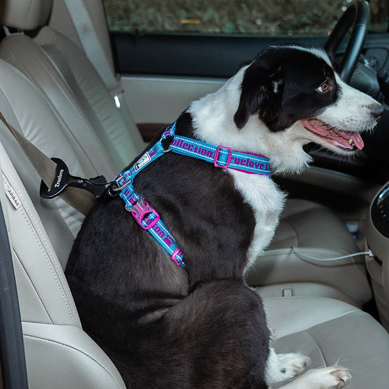 Truelove Pet All Car Seat Belt Safety Buckle with Collar or Harness - KiwisLove