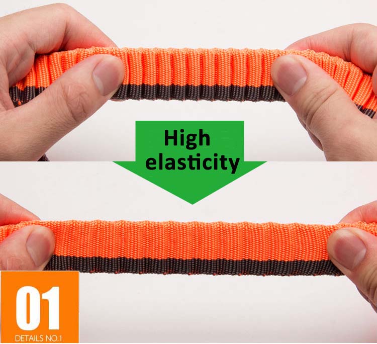 Truelove Dog Running Bungee Leash Hand-held Waistworn Adjustable - KiwisLove