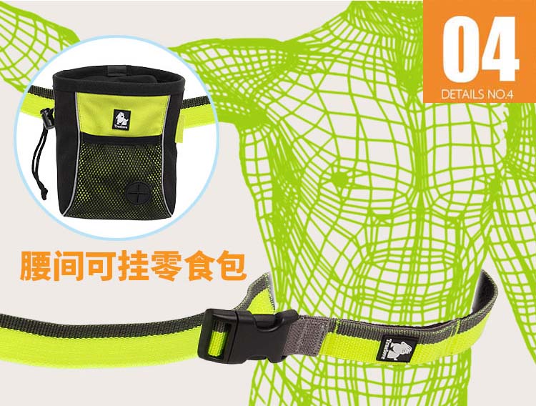 Truelove Dog Running Bungee Leash Hand-held Waistworn Adjustable - KiwisLove