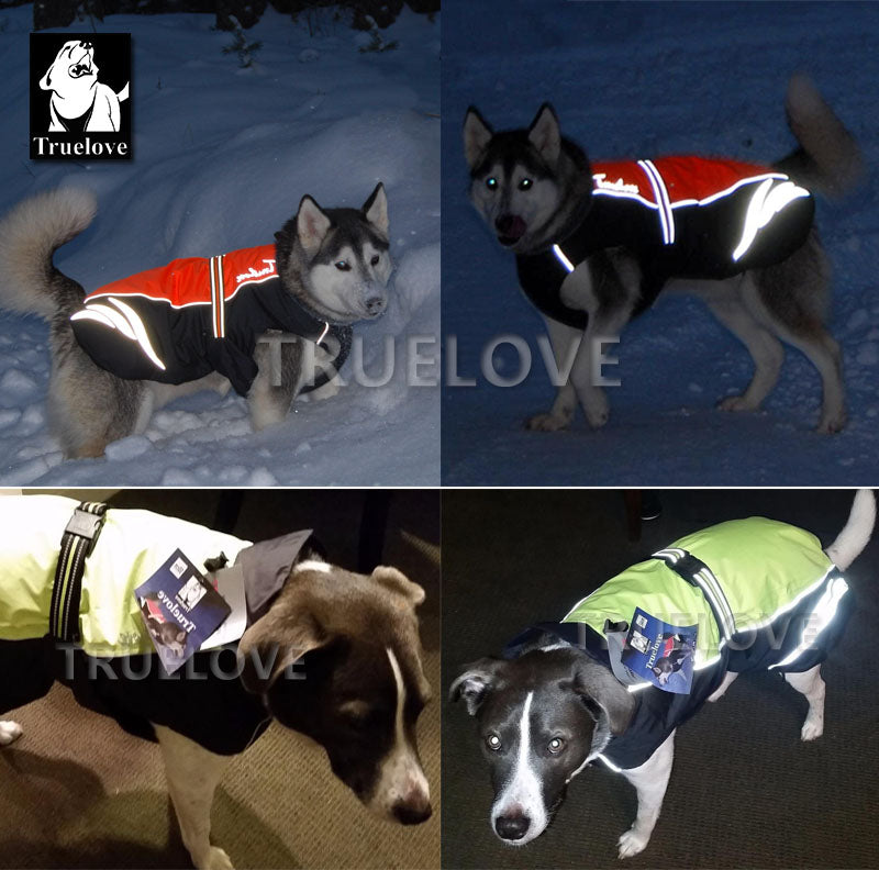 Truelove Reflective Dog Clothes  Raincoat Waterproof  Jacket All Seasons - KiwisLove