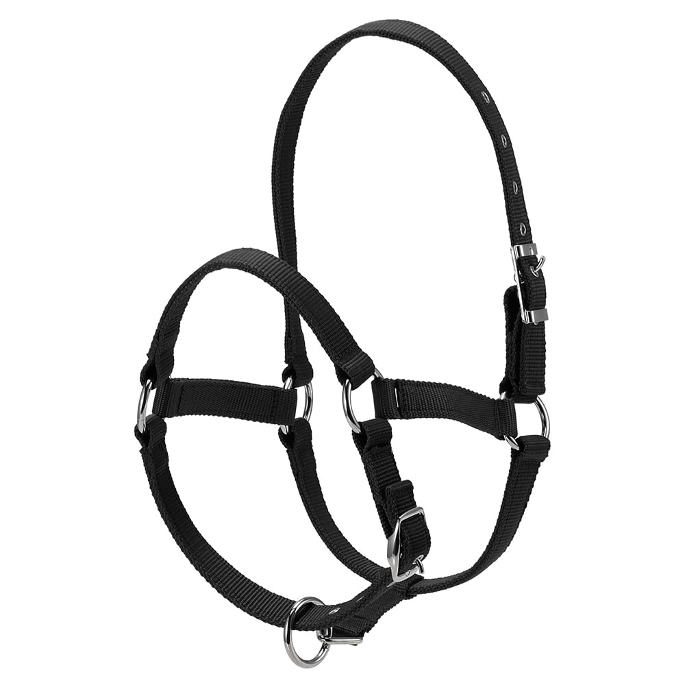 Durable Horse Head Collar Halter 6MM Thickened Horse Riding Bridle Horse Riding Equipment Halter Horse Accessories - KiwisLove