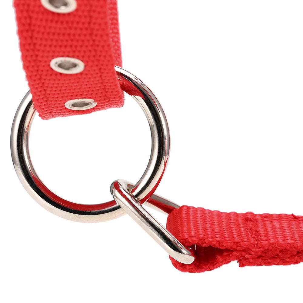 Durable Horse Head Collar Halter 6MM Thickened Horse Riding Bridle Horse Riding Equipment Halter Horse Accessories - KiwisLove