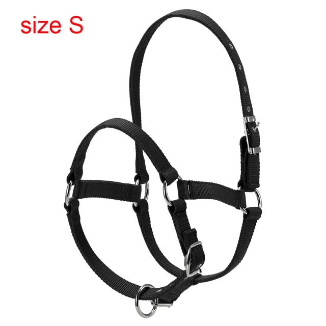 Durable Horse Head Collar Halter 6MM Thickened Horse Riding Bridle Horse Riding Equipment Halter Horse Accessories - KiwisLove