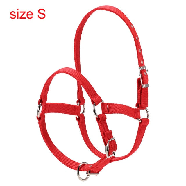 Durable Horse Head Collar Halter 6MM Thickened Horse Riding Bridle Horse Riding Equipment Halter Horse Accessories - KiwisLove