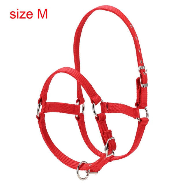 Durable Horse Head Collar Halter 6MM Thickened Horse Riding Bridle Horse Riding Equipment Halter Horse Accessories - KiwisLove