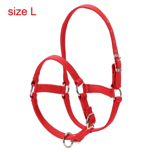 Durable Horse Head Collar Halter 6MM Thickened Horse Riding Bridle Horse Riding Equipment Halter Horse Accessories - KiwisLove