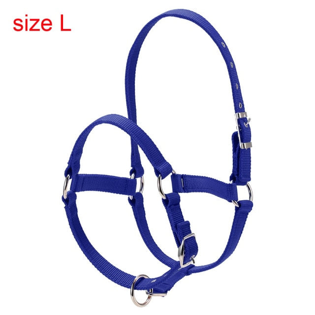 Durable Horse Head Collar Halter 6MM Thickened Horse Riding Bridle Horse Riding Equipment Halter Horse Accessories - KiwisLove