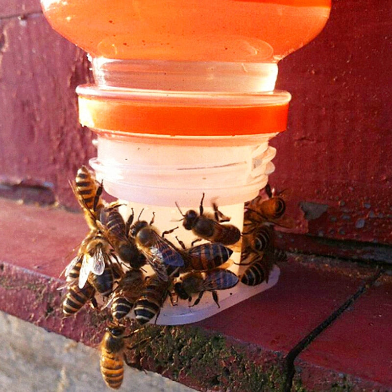 Beehive Plastic Beehive Beekeeper Bee Feeder Water Drink Feeding Fountains Beekeeping Apiculture Tool 5 Pcs - KiwisLove