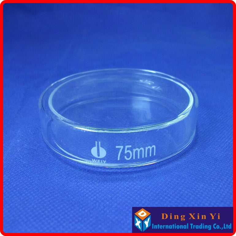 4 pcs 75mm high borosilicate glass petri dish - KiwisLove