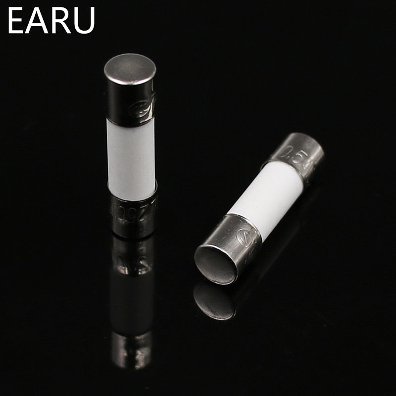 100pcs Ceramic Fuse 5mm x 20mm Slow Blow 250V Circuit Breaker Car Cigar O - KiwisLove