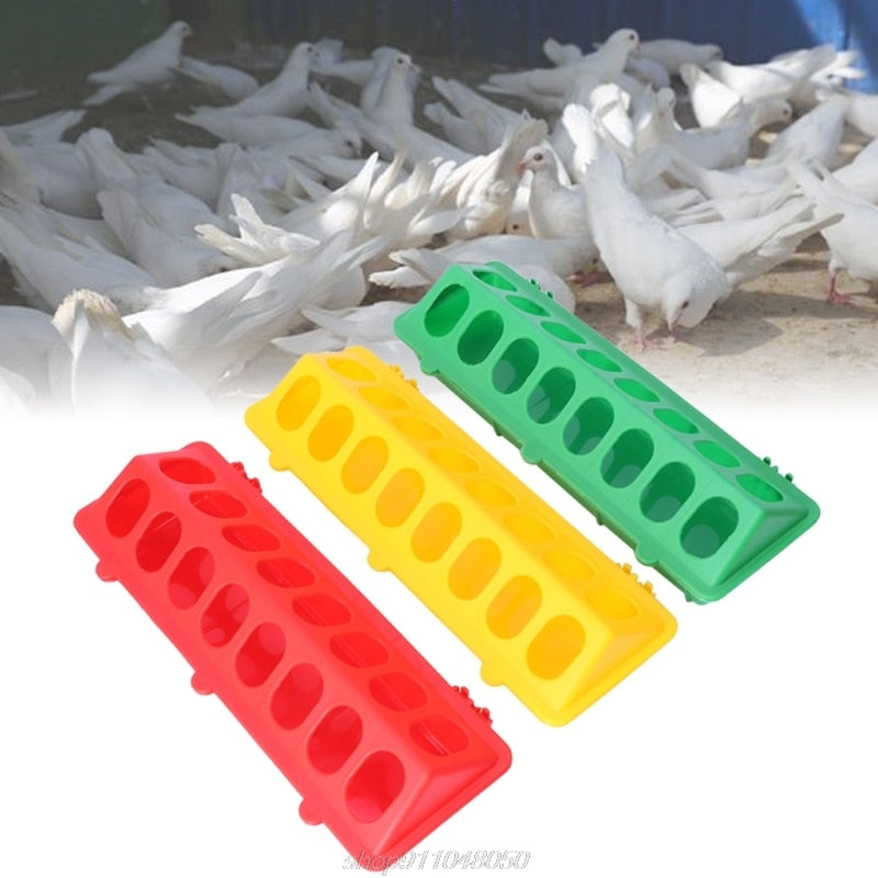 Plastic Flip-Top Bird Poultry Trough Feeding Case - KiwisLove