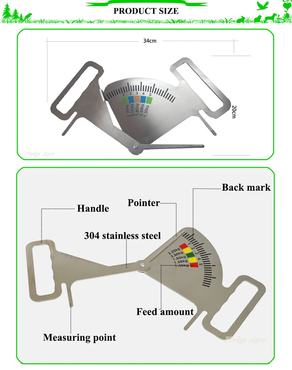 Sow body condition caliper guidance backfat meat measuring - KiwisLove
