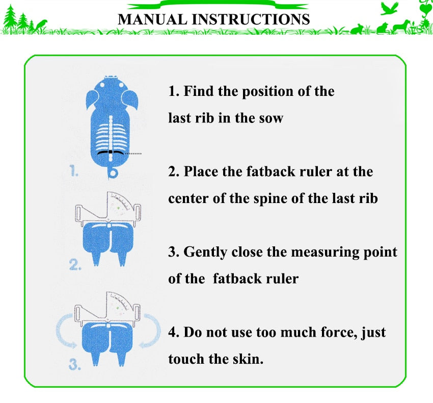 Sow body condition caliper guidance backfat meat measuring - KiwisLove