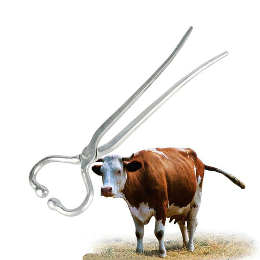 Cattle Livestock Tool Stainless Steel Cow Nose Ring Carrying Pliers - KiwisLove
