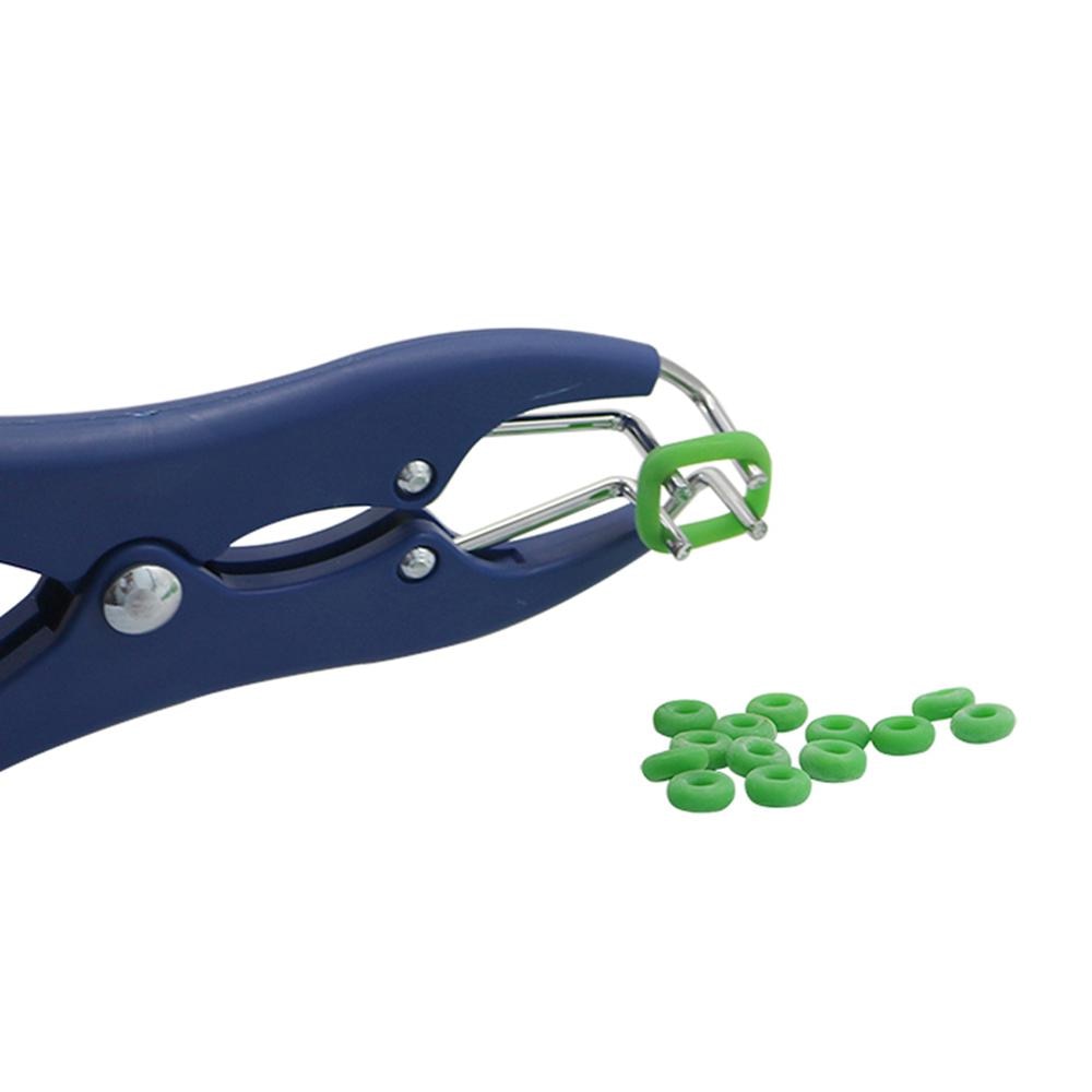 500 Pcs Rubber Animal Castration Ring High Elastic Tendon Rubber - KiwisLove