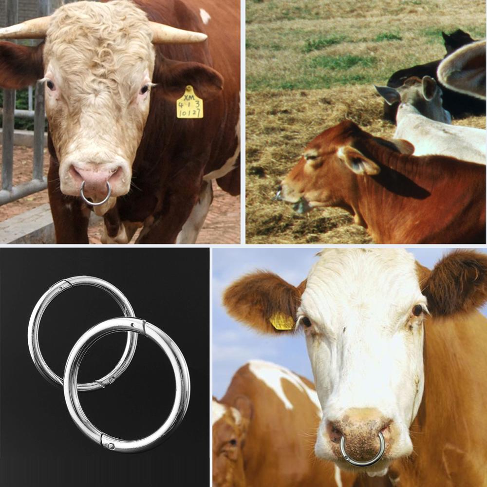 Cattle Nose Rings High Quality Carbon Steel Cow Traction Clasp 1 pc - KiwisLove