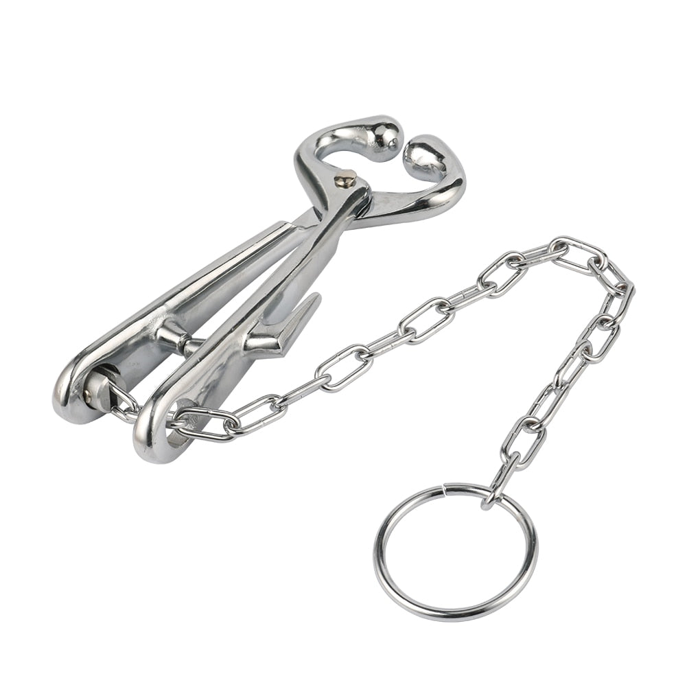 Cattle Nose Plier with Chain Stainless Steel Cow Traction Clamp - KiwisLove