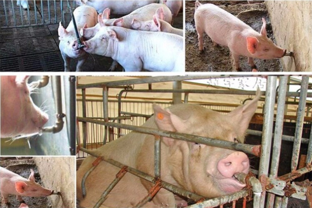 External thread 1/2"(20mm) Pig Stainless Steel Automatic Waterers Nipple 1 pc - KiwisLove