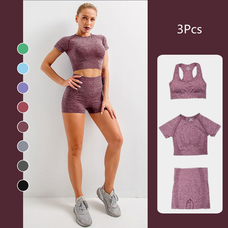 Sise S Seamless Yoga Set Workout Gym Fitness Long Sleeve Crop Top High Waist Leggings - KiwisLove