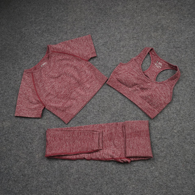 Sise S Seamless Yoga Set Workout Gym Fitness Long Sleeve Crop Top High Waist Leggings - KiwisLove