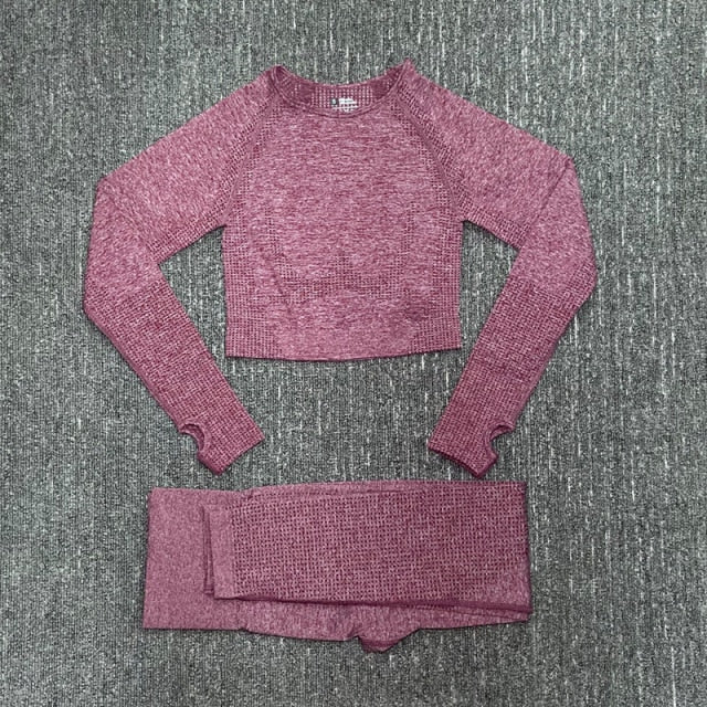 Seamless Women Yoga Set Fitness Gym Long Sleeve Crop Top High Waist Legging - KiwisLove