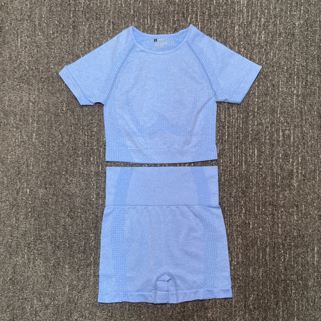 Seamless Women Yoga Set Fitness Gym Long Sleeve Crop Top High Waist Legging - KiwisLove