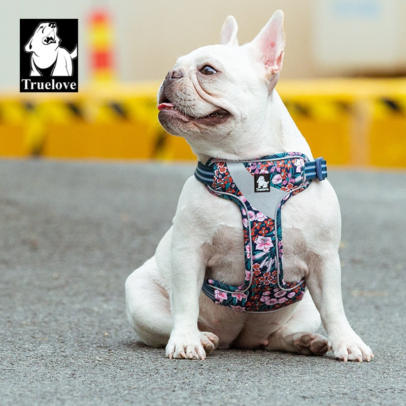 Truelove Floral Soft Padded Cotton Dog Harness Adjustable Snappy Easy Fit - KiwisLove