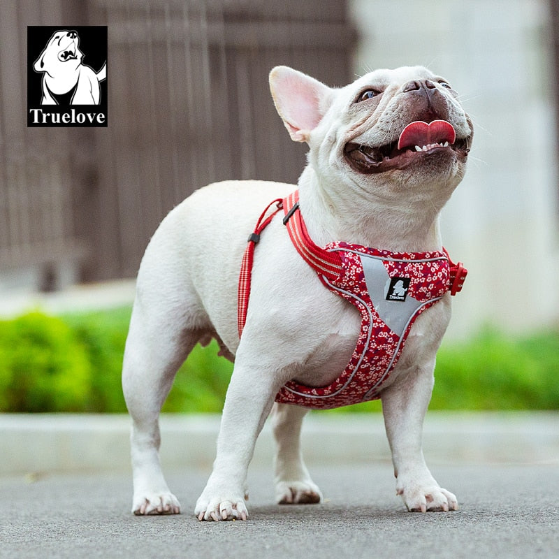 Truelove Floral Soft Padded Cotton Dog Harness Adjustable Snappy Easy Fit - KiwisLove