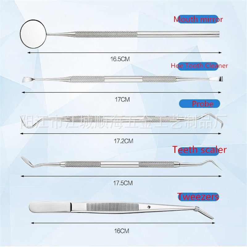 6PCS Stainless Steel Dental Tools Kit Teeth Tartar Scraper Mouth Mirror - KiwisLove