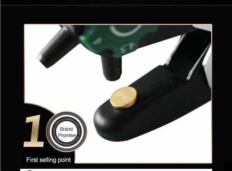 LAOA Technical grade 6 in 1 Multi-fonction Leather Punch Pliers Professional - KiwisLove