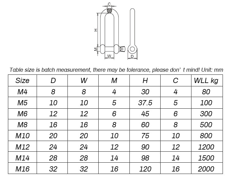 304 Stainless Steel D Shackle Anchor Shackle Connector Rigging Fastener - KiwisLove